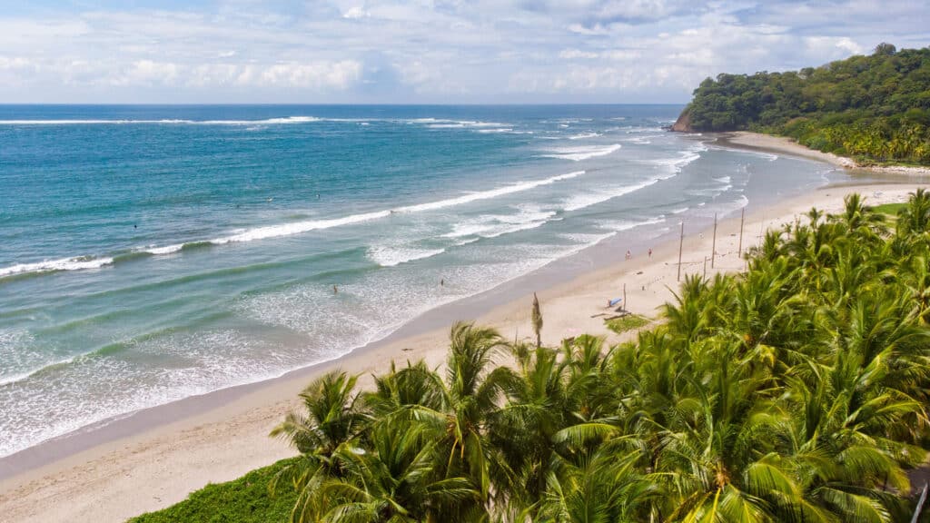 Aerial view of a Guanacaste Pacific beach with palm trees and surf, one of the top areas to buy investment property in Costa Rica